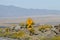 Rock Slide Area Sign overlooking Borrego Springs Landscape