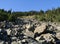 Rock Slide in Callaghan Valley