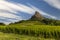 Rock of Solutre with vineyards, Burgundy, Solutre-Pouilly, France