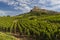 Rock of Solutre with vineyards, Burgundy, Solutre-Pouilly, France