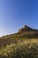 Rock of Solutre with vineyards, Burgundy, Solutre-Pouilly, France