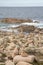 Rock Stack, English Cemetery, Trece Head Beach; Costa de la Muerte