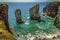 A rock stack offshore populated by breeding Raverbill Gulls on the Pembrokeshire coast, Wales