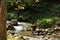 Rock Stack, Stone Cairn Along Sign Small River in the Forrest.