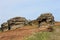 Rock stacks in countryside