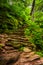 Rock staircase on a trail at Rickett\'s Glen State Park, Pennsylv