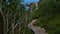 Rock stairway built by Nepalese Sherpas leading through forest to mountain Reinebringen on MoskenesÃ¸ya island, Lofoten, Norway.