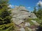 Rock and stones in Jeseniky mountain Czech Republic spruce tree