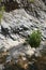 Rock structure in the gorge. Goynuk Canyon