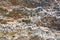 Rock surface. Abstract nature texture. Beige mountain. Natural material background. Rock climbing backdrop, copy space