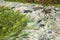 Rock surface with green and white algae