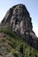 Rock surrounded by native pine forests of the Spanish interior area