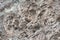 Rock texture background