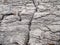 Rock texture with crack, Grey color, Burren National park, Ireland