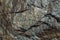 Rock texture. Stone background. Old weathered crumbling mountain surface in cracks background. Light brown rock