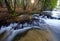 Rock thresholds on the Tanew River create picturesque small waterfalls