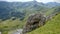 Rock to form of elephant in a natural park of Montenegro.