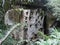 Rock tombs in the Tana Toraja region in Sulawesi