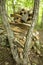 Rock totems along the trail, Penwood State Park, Bloomfield, Con