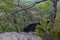 Rock and trees frame Barron Canyon in Algonquin Park