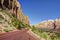 Rock, Trees, Roadway Zion National Park