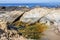 Rock and unusual geological formations at low tide