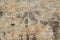 Rock wall texture for background and design art work