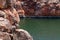 Rock wallaby climbing rocks at a creek near a river. Yardie Creek, Cape Range National Park, Australia, West Australia WA