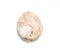 Rock, whitish, Multicolored, Odd shape, White background