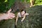 Rockclimber helping to female climber to reach top of mountain