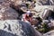 Rockclimbing at Mt Buffalo View in Australia