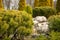 Rockery in the garden with stones and variety of different flowers and plants