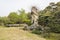 Rockery and long colonnade in Duojing garden