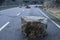 Rockfall on the mainroad in northern Italy