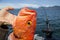 Rockfish caught while Fishing West Coast