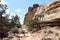 Rockformation in Capitol Reef National Park. Utah. United States