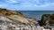 Rockhopper penguin - Eudyptes chrysocome - coming up over rockbound coast to colony, New Island, Falkland Islands