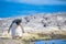 Rockhopper Penguin by Rock Pool on cliff top.