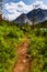 The Rockies. Sherbrook Lake in The Rockies British Columbia Canada