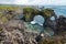 Rocks of Arnarstapi with nesting birds, Iceland, Snaefellsness. Black stone cliffs with many birds nests