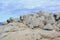 Rocks background, Sardinia island, Italy