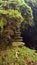 Rocks in balance surrounded by moss