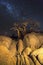 Rocks baobab trees and the milkyway
