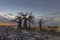 Rocks, baobabs and clouds