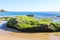 Rocks on the beach covered with gorgeous lush green algae in smooth silky sand