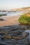 Rocks on Beach, Monte Clerigo; Alentejano; Portugal