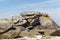 Rocks at the beach Plage du Phare in Brittany, France