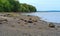 Rocks on the beach of Sears Island in Maine