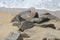 Rocks on the beach and the water bubbles flows back