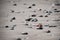 Rocks on black sand beach